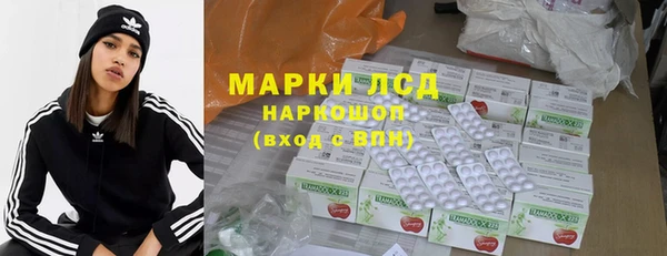шишки Абаза