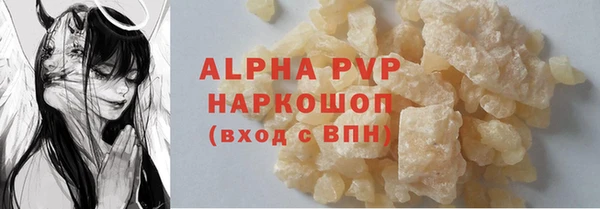 шишки Абаза