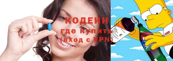 шишки Абаза