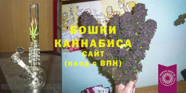 шишки Абаза