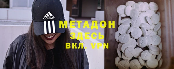шишки Абаза