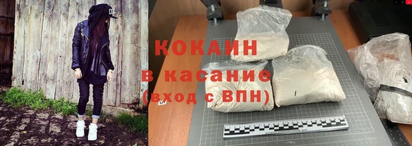 шишки Абаза