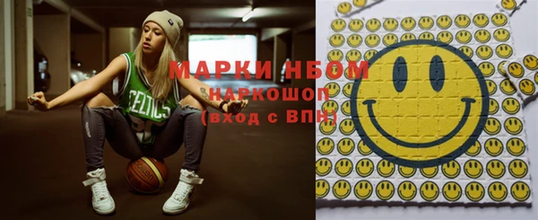 шишки Абаза