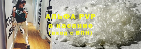шишки Абаза