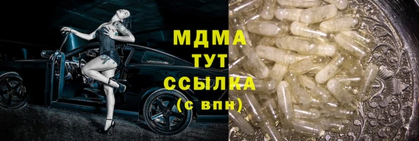 шишки Абаза