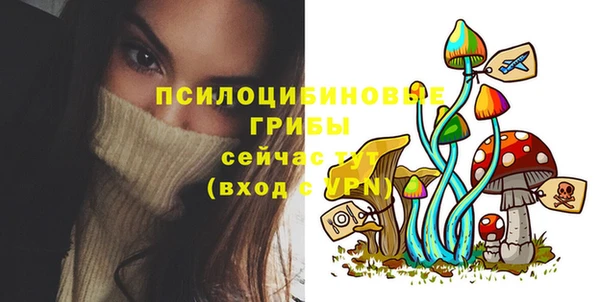 шишки Абаза