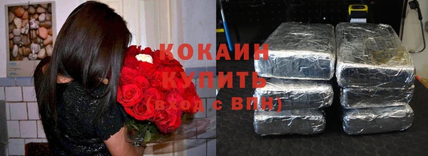 шишки Абаза